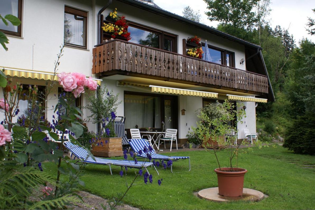 Black Forest Apartments Titisee Esterno foto