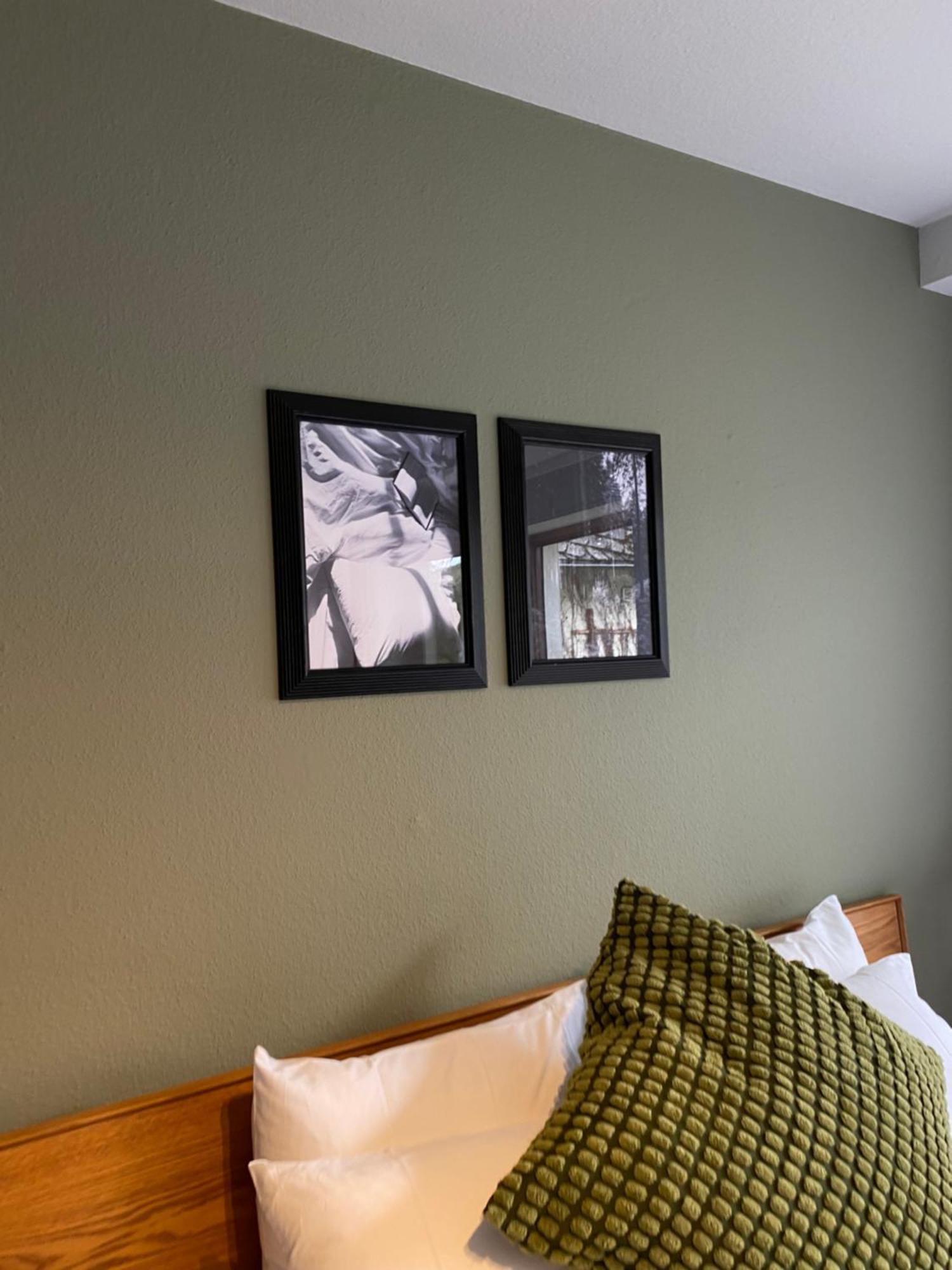 Black Forest Apartments Titisee Esterno foto