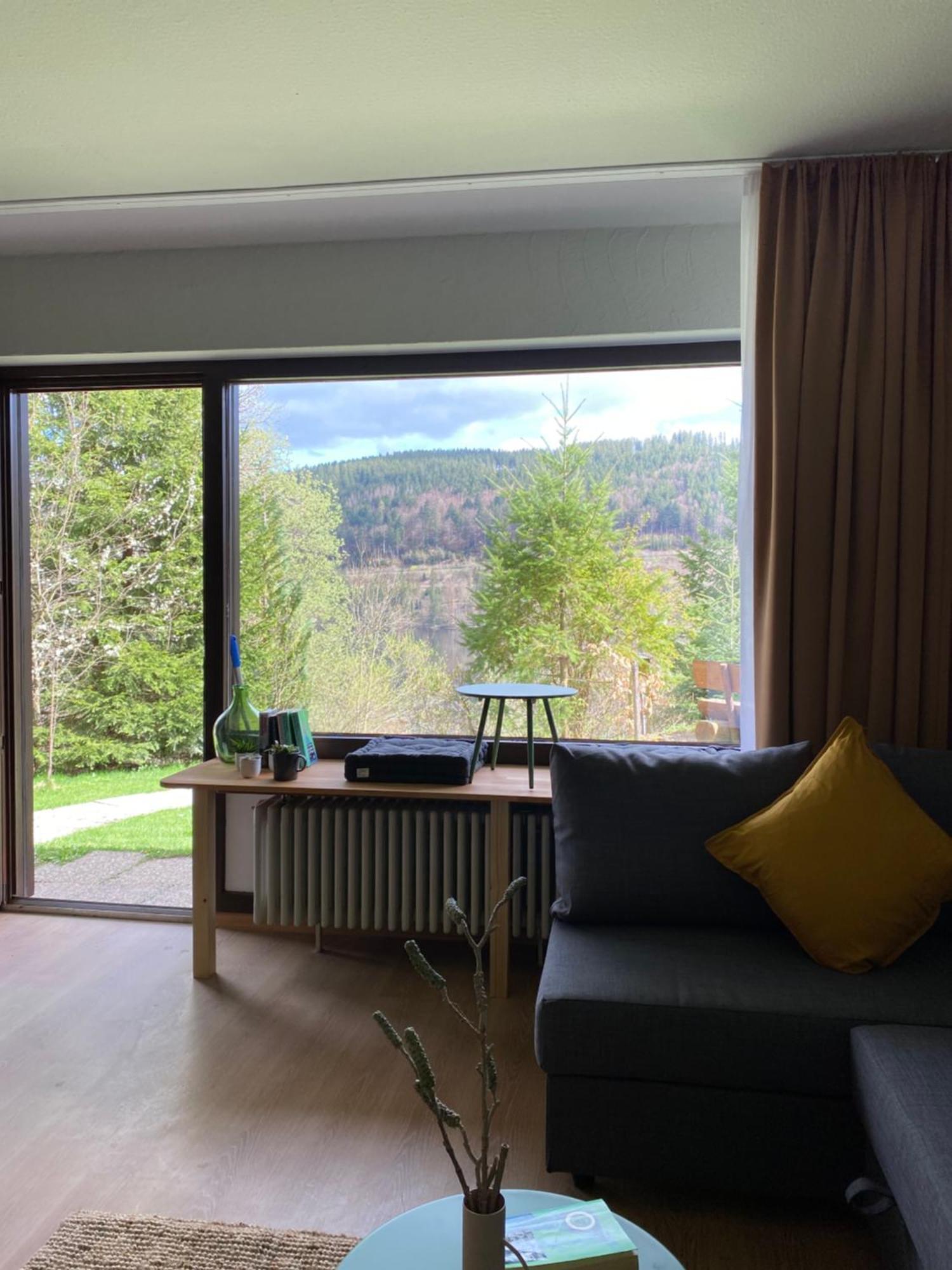 Black Forest Apartments Titisee Esterno foto