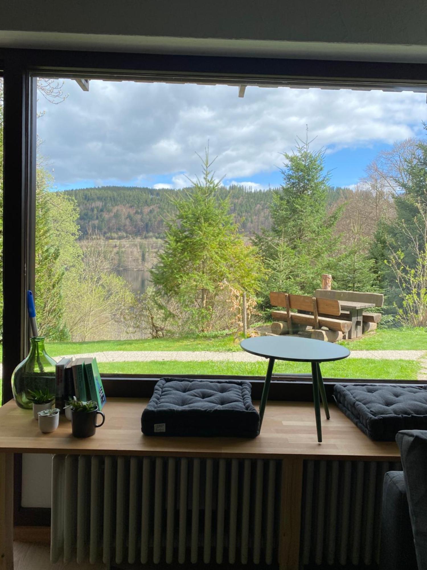 Black Forest Apartments Titisee Esterno foto